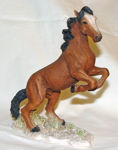 Picture of Brown Horse