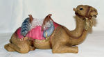 Picture of Camel