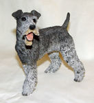 Picture of Dog - Fox Terrier