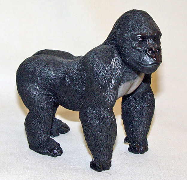 Picture of Gorilla
