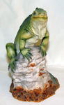 Picture of Iguana