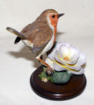 Picture of Robin with Camellia