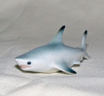 Picture of Shark