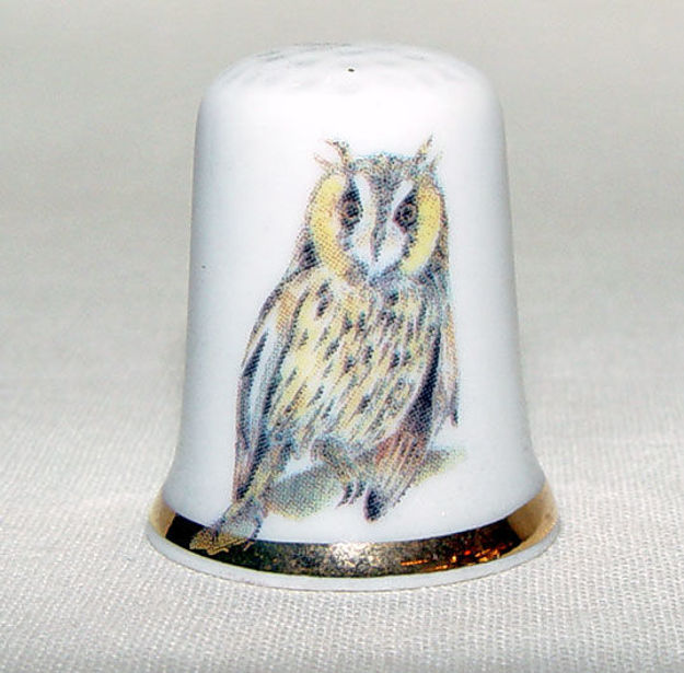 Picture of Thimble Owl