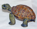 Picture of Turtle