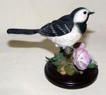 Picture of Wagtail with Geraniums