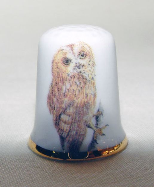 Picture of Thimble Owl